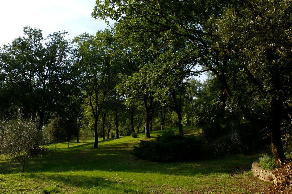 La Colonna Bed & Breakfast Montelanico Bagian luar foto