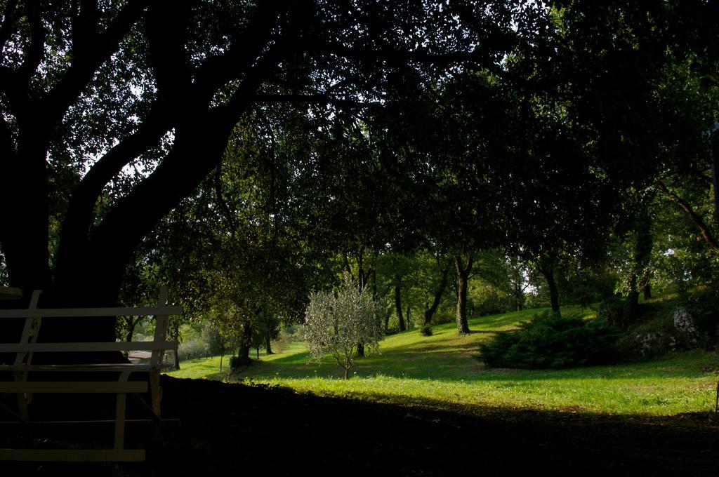 La Colonna Bed & Breakfast Montelanico Bagian luar foto